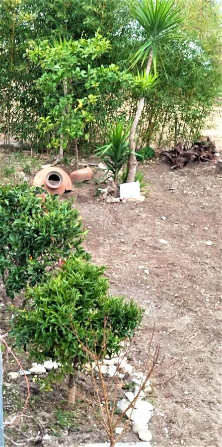 Alana Cozy Place Apartment Limenaria (Thasos)